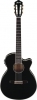 Ibanez AEG10NII BK EXPO Ibanez AEG10NII BK EXPO